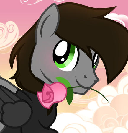 Picture taken:DateUnknown time:2:00pm